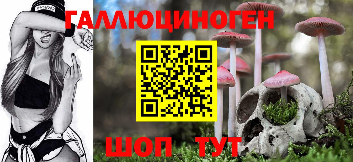 Псилоцибиновые грибы GOLDEN TEACHER Приморско-Ахтарск